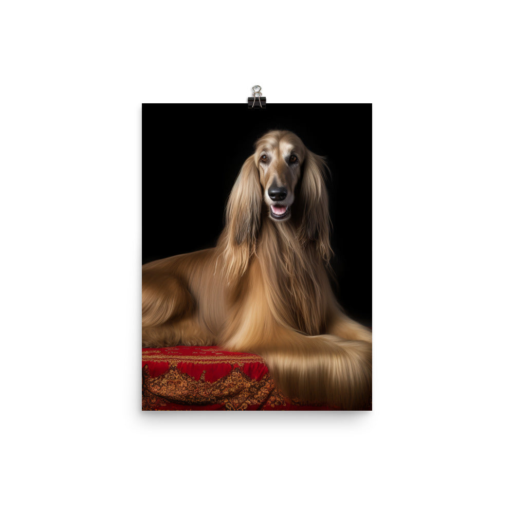 Afghan Hound in a regal pose Photo paper poster - PosterfyAI.com