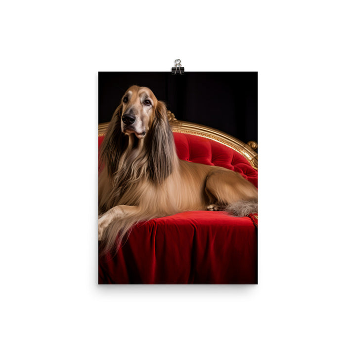 Afghan Hound in a regal pose Photo paper poster - PosterfyAI.com