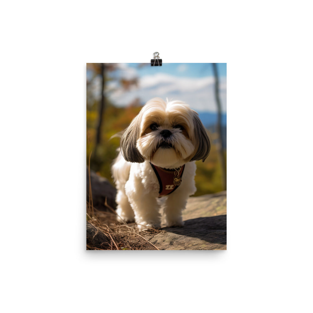 Adventurous Shih Tzu on a Hike Photo paper poster - PosterfyAI.com