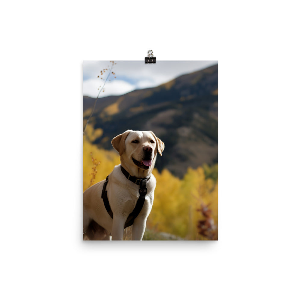 A Labrador Retriever enjoying the great outdoors Photo paper poster - PosterfyAI.com