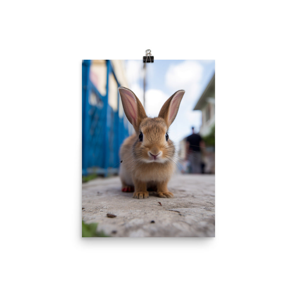 Adorable Havana Bunny Photo paper poster - PosterfyAI.com