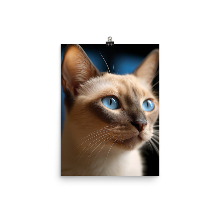 Charm of Tonkinese Kitten Photo paper poster - PosterfyAI.com