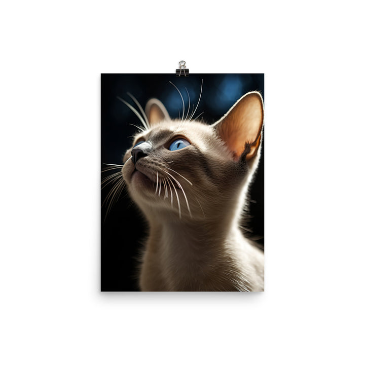 Charm of Tonkinese Kitten Photo paper poster - PosterfyAI.com