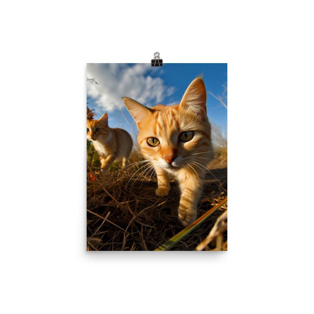 Playful Nature of Somali Cat Photo paper poster - PosterfyAI.com