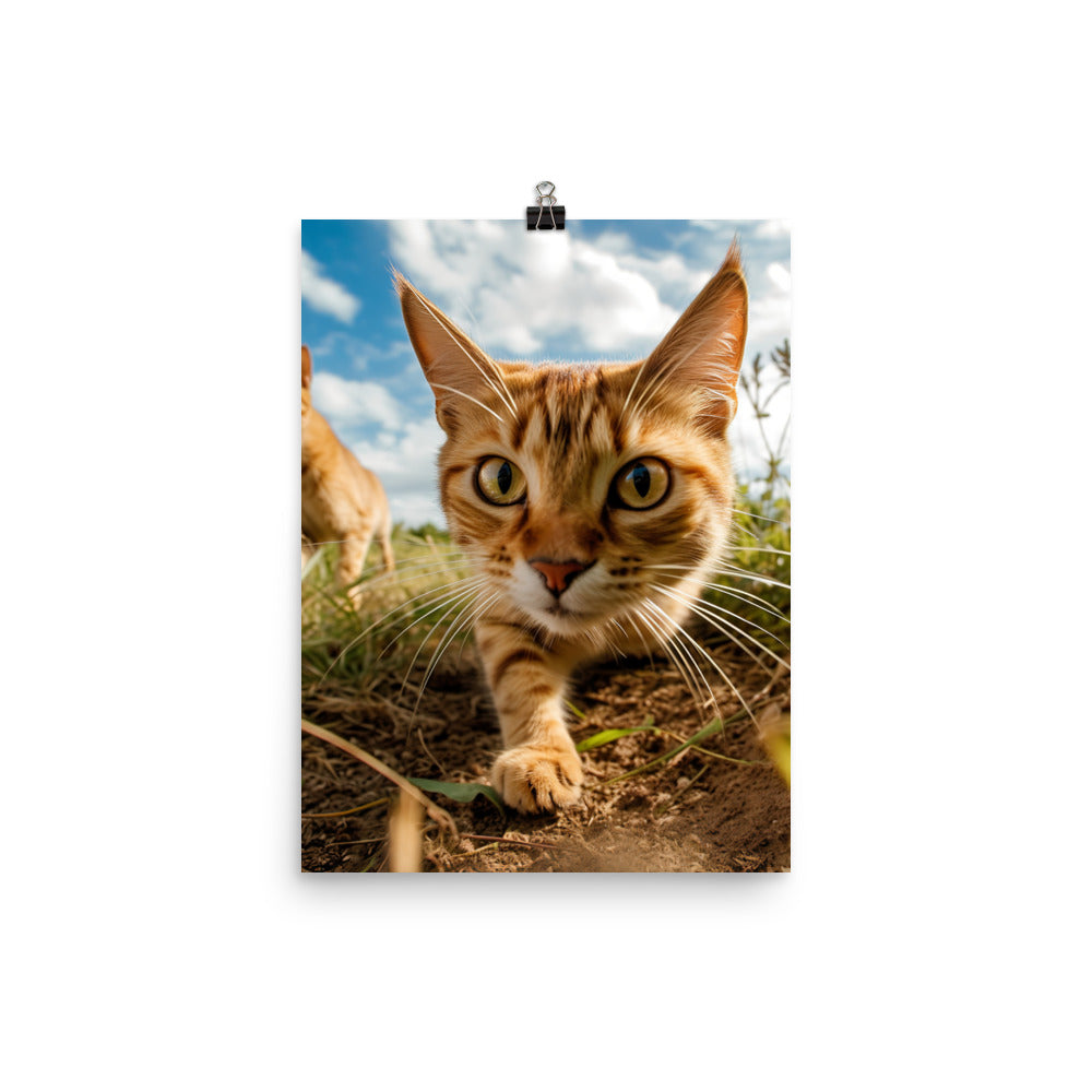 Playful Nature of Somali Cat Photo paper poster - PosterfyAI.com