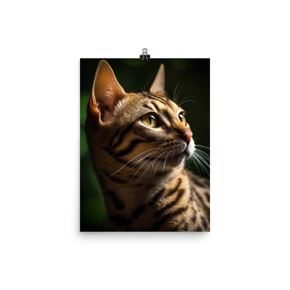 Majestic Beauty of Ocicat Cat Photo paper poster - PosterfyAI.com