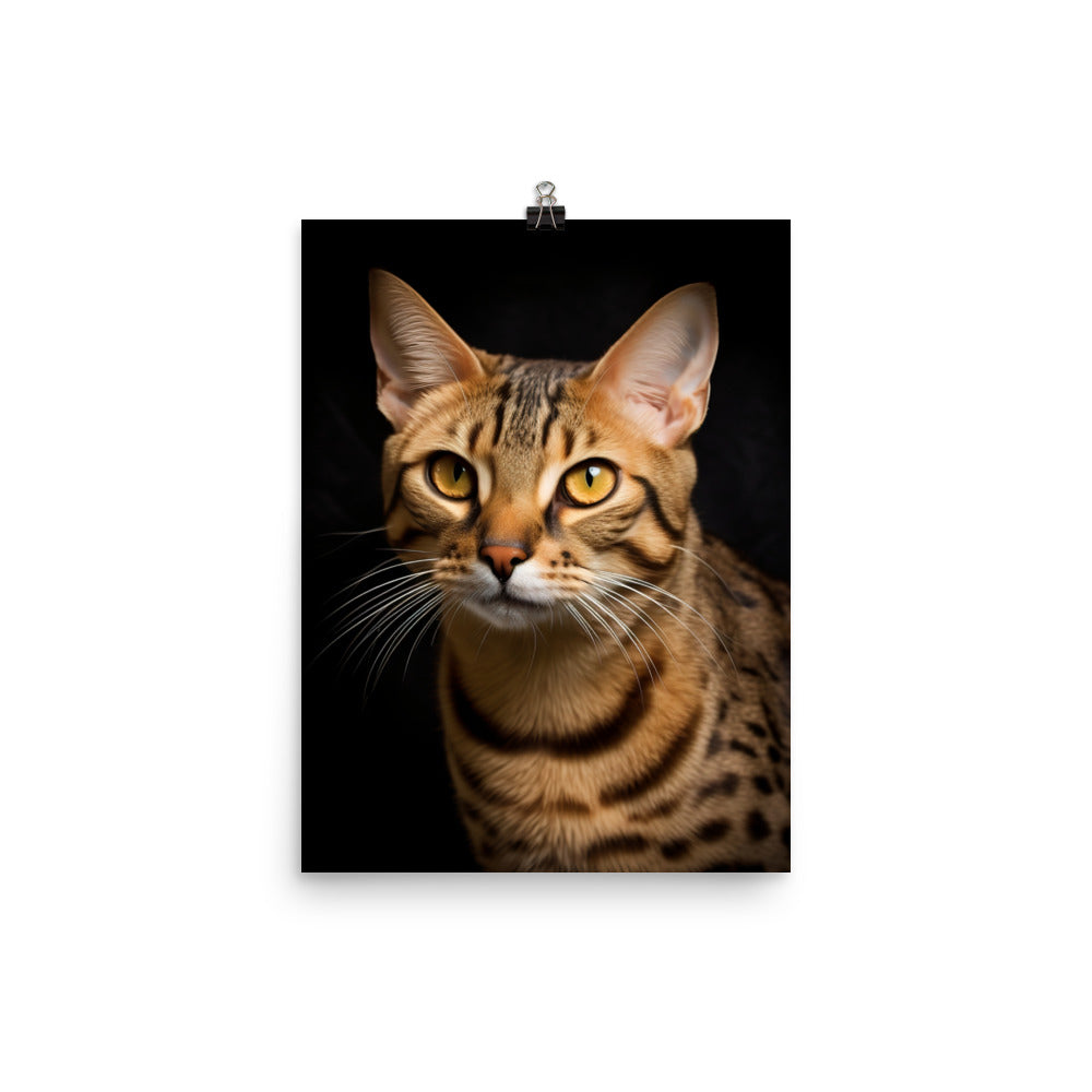 Elegance of Ocicat Cat Photo paper poster - PosterfyAI.com