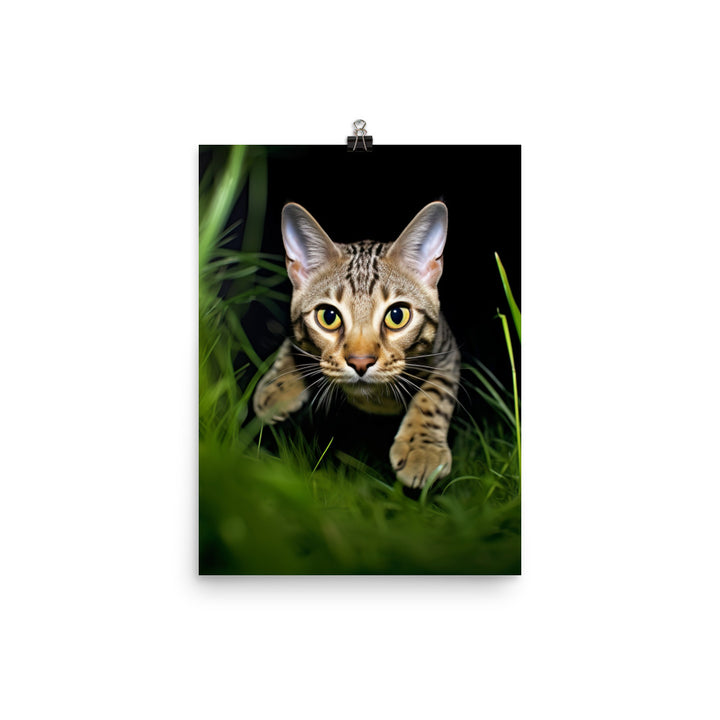 Agile Grace of Ocicat Cat Photo paper poster - PosterfyAI.com