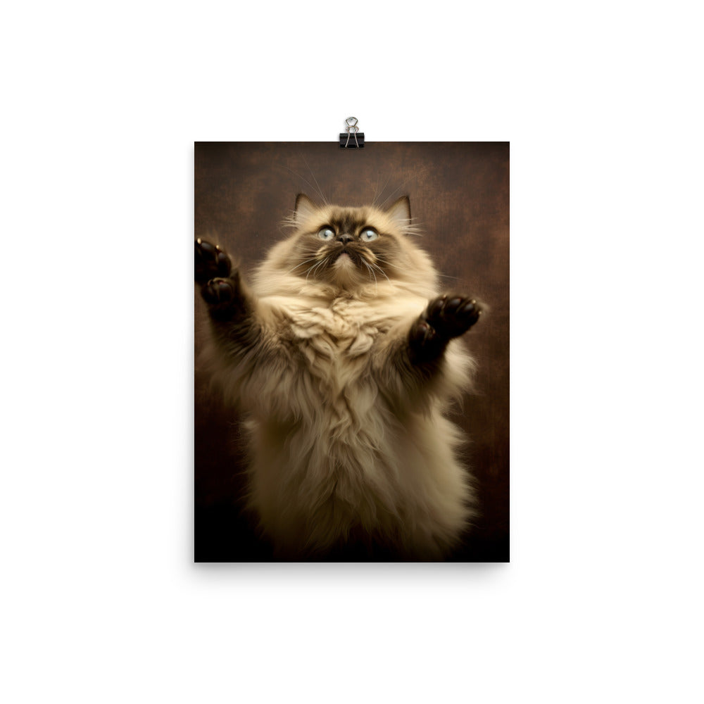 Playful Nature of Himalayan Cat Photo paper poster - PosterfyAI.com