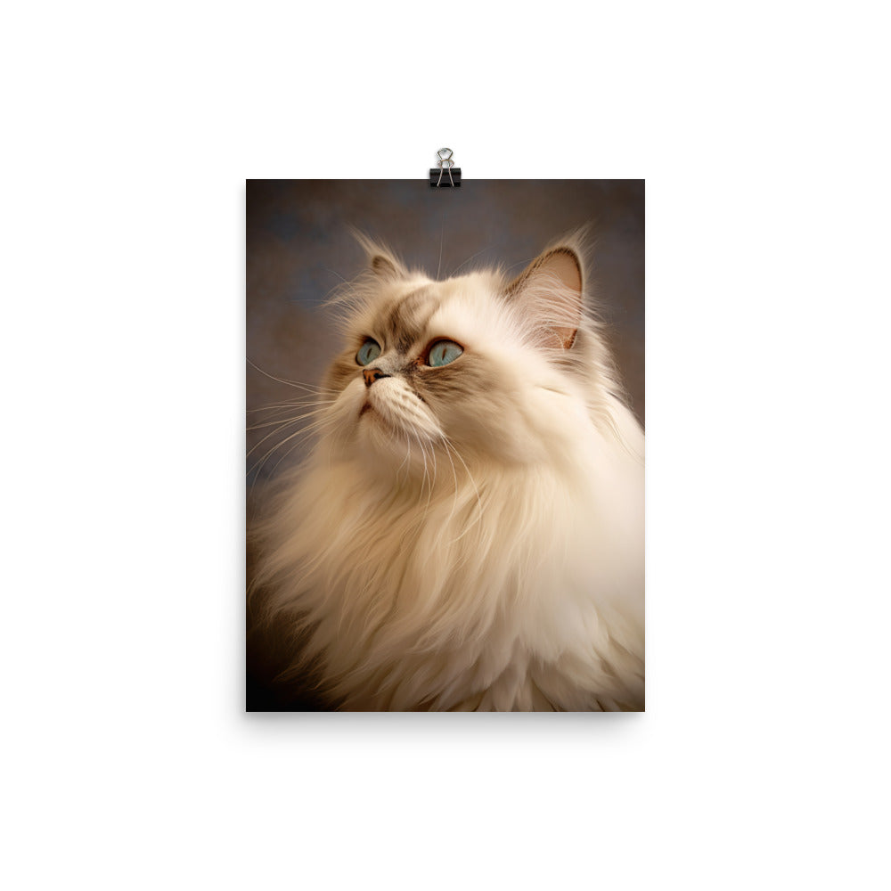 Dignified Aura of Himalayan Cat Photo paper poster - PosterfyAI.com