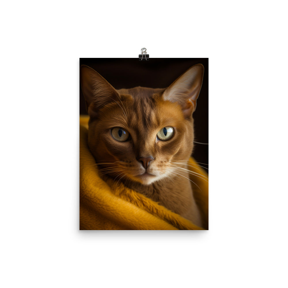 Elegance of Burmese Cat Photo paper poster - PosterfyAI.com