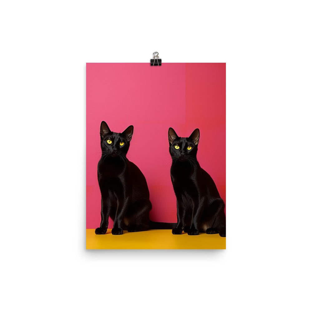 Striking Contrast of Bombay Cat Photo paper poster - PosterfyAI.com