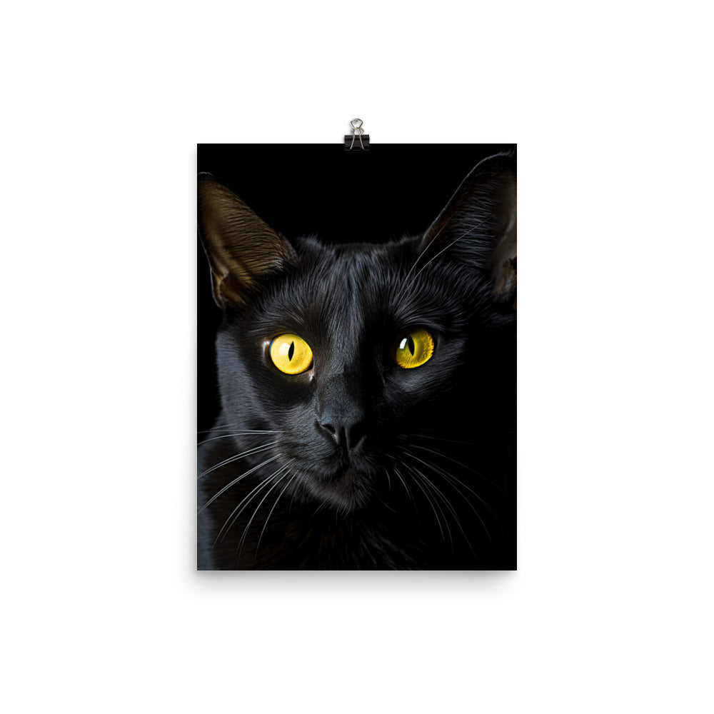 Bombay Cat in Stunning Detail Photo paper poster - PosterfyAI.com