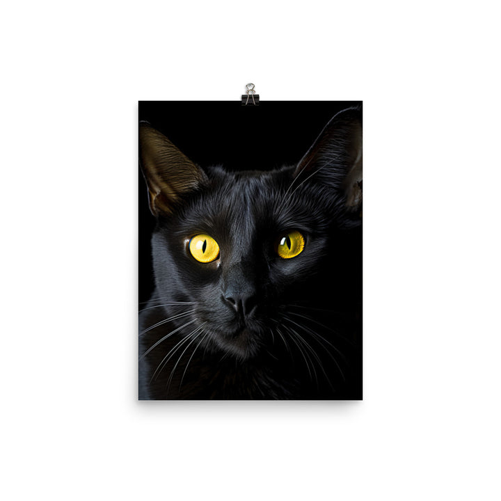 Bombay Cat in Stunning Detail Photo paper poster - PosterfyAI.com