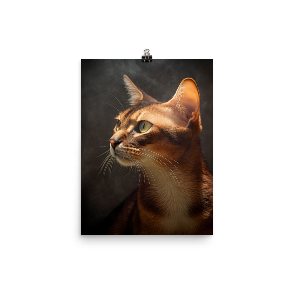 Abyssinian Cat Photo paper poster - PosterfyAI.com