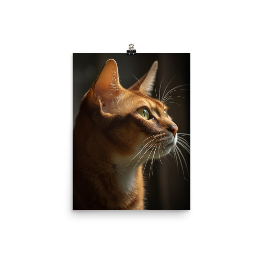 Abyssinian Cat Photo paper poster - PosterfyAI.com