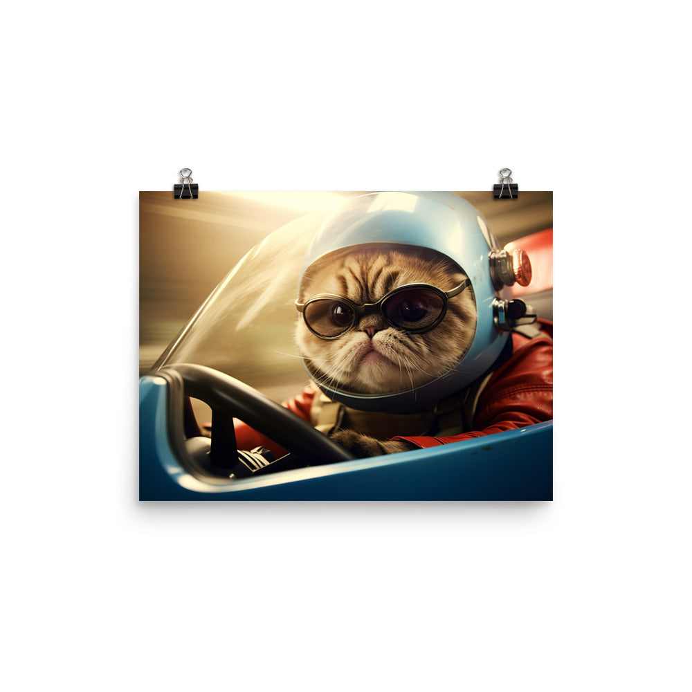 Exotic Shorthair Motorsport Athlete Photo paper poster - PosterfyAI.com