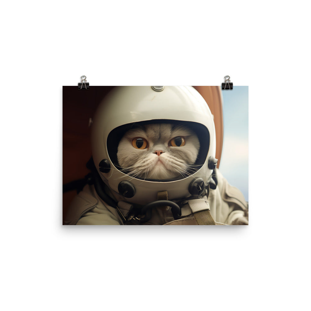 Exotic Shorthair Pilot Photo paper poster - PosterfyAI.com