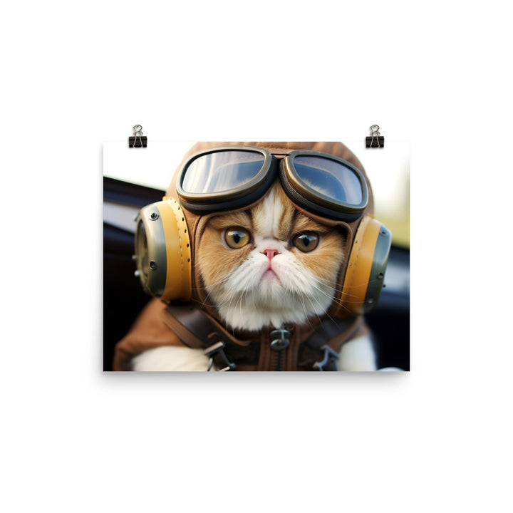 Exotic Shorthair Pilot Photo paper poster - PosterfyAI.com