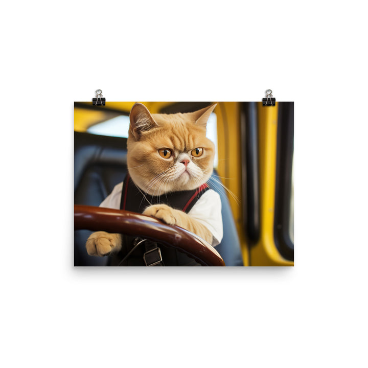 Exotic Shorthair Transit Operator Photo paper poster - PosterfyAI.com