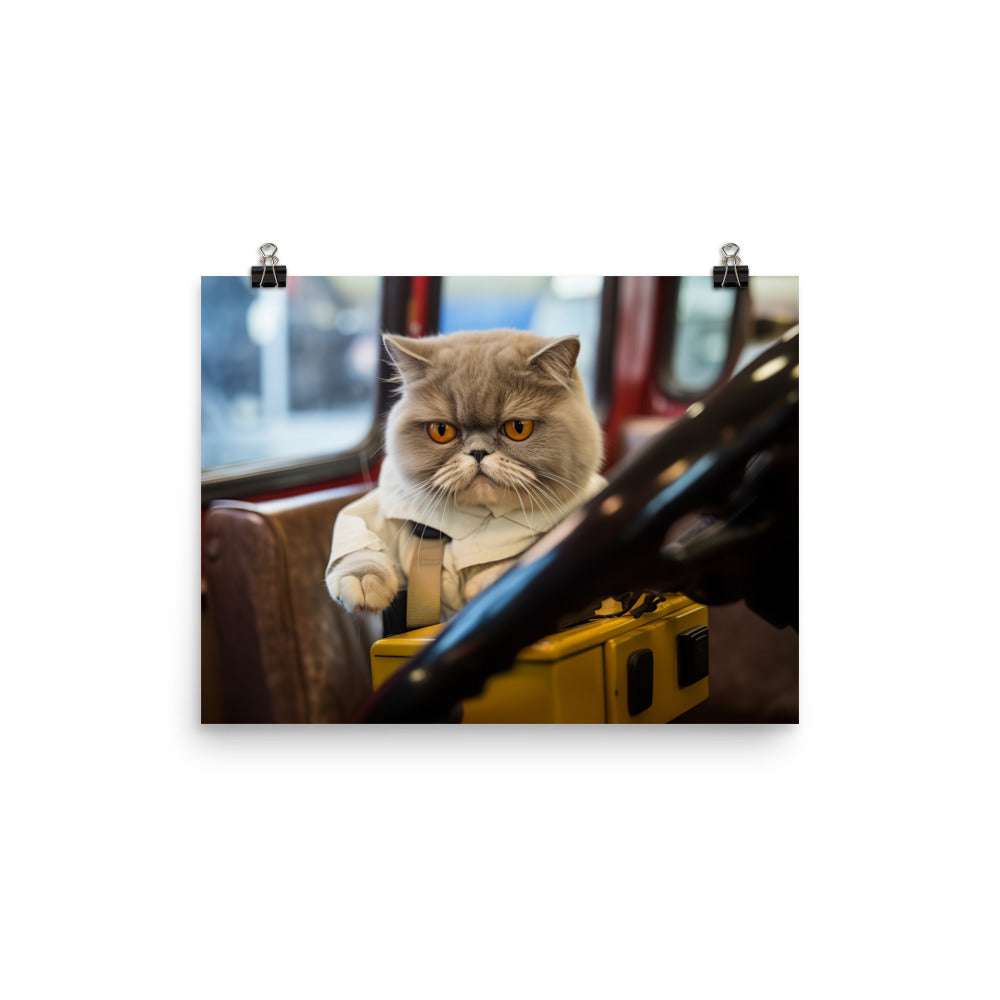 Exotic Shorthair Transit Operator Photo paper poster - PosterfyAI.com