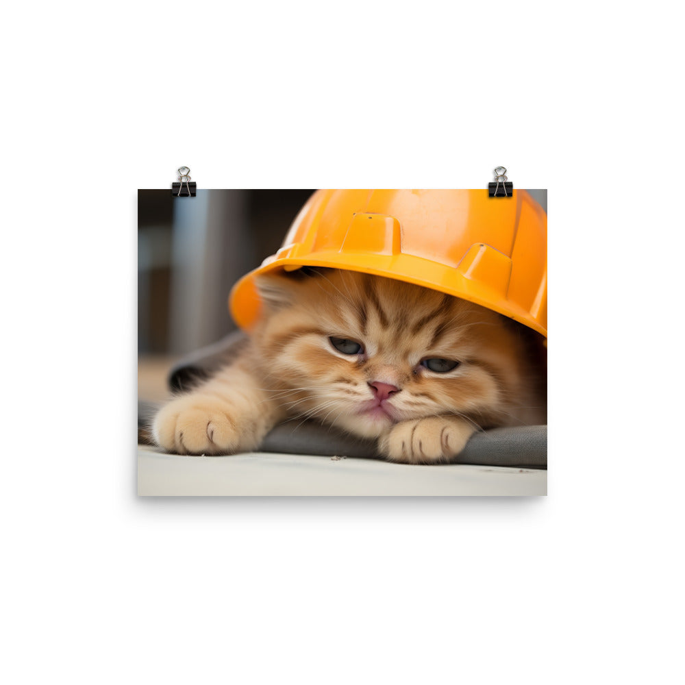 Exotic Shorthair Contractor Photo paper poster - PosterfyAI.com