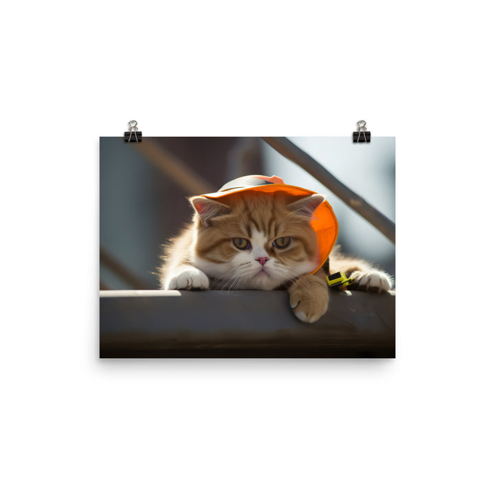 Exotic Shorthair Contractor Photo paper poster - PosterfyAI.com