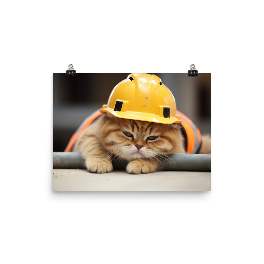 Exotic Shorthair Contractor Photo paper poster - PosterfyAI.com