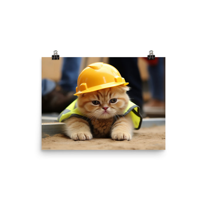 Exotic Shorthair Contractor Photo paper poster - PosterfyAI.com