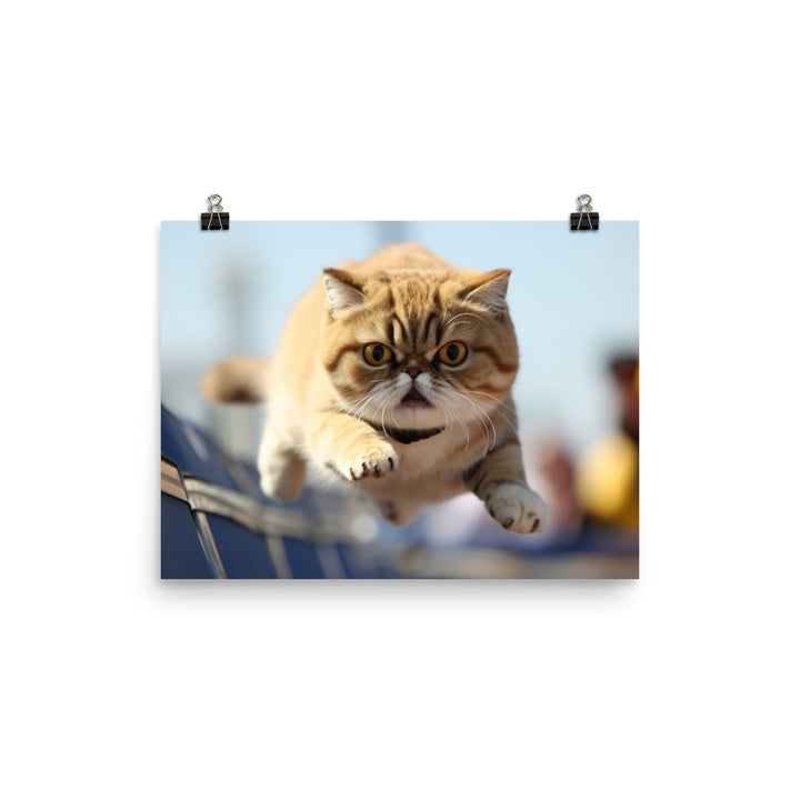 Exotic Shorthair Photo paper poster - PosterfyAI.com