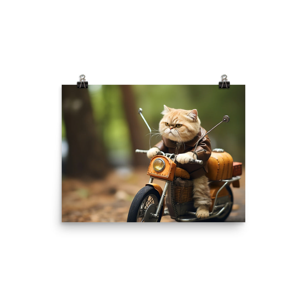 Exotic Shorthair Superbike Athlete Photo paper poster - PosterfyAI.com