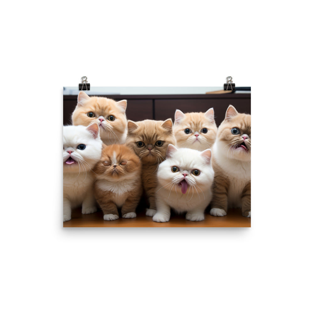 Exotic Shorthair Photo paper poster - PosterfyAI.com