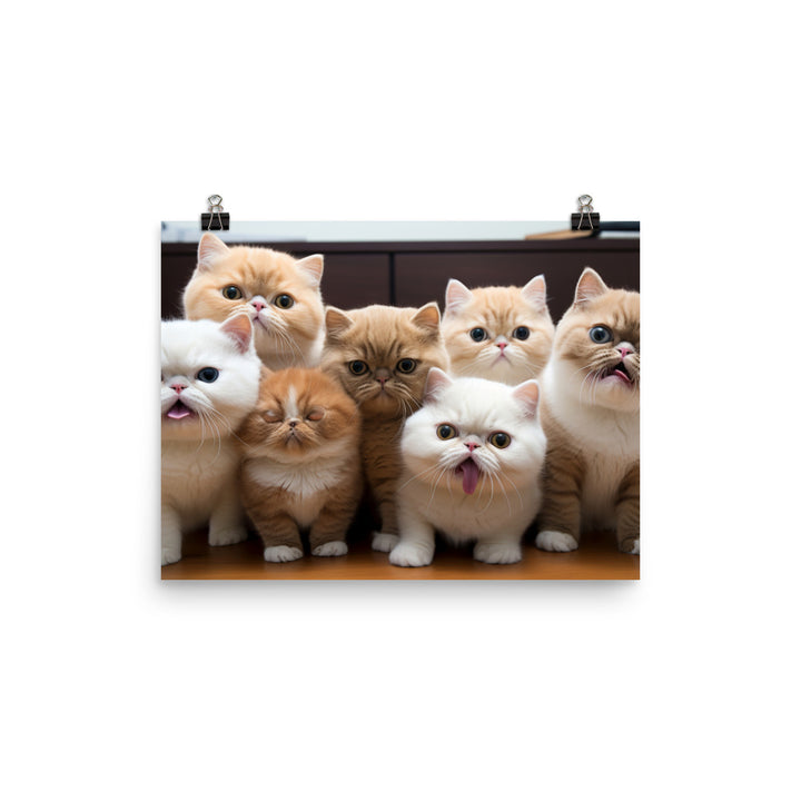 Exotic Shorthair Photo paper poster - PosterfyAI.com