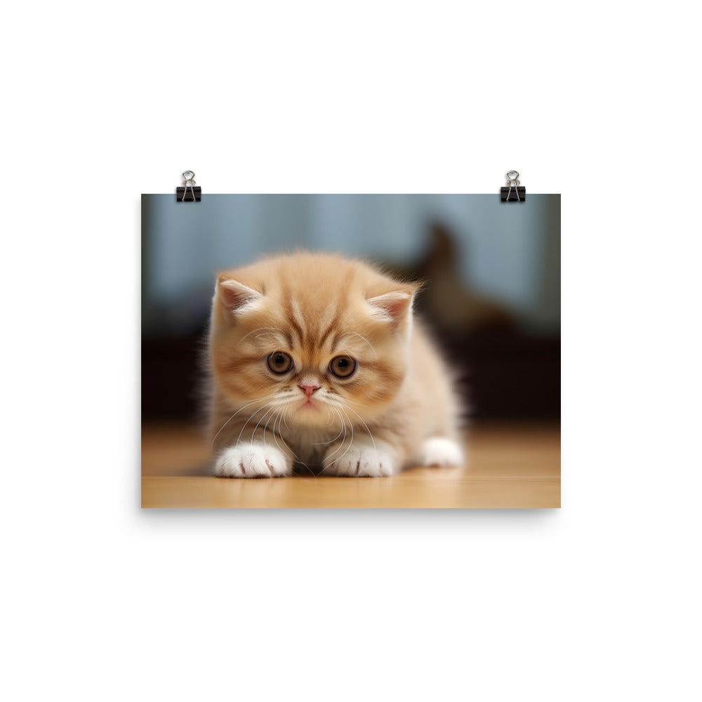 Exotic Shorthair Photo paper poster - PosterfyAI.com