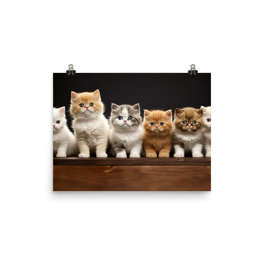 Exotic Shorthair Photo paper poster - PosterfyAI.com