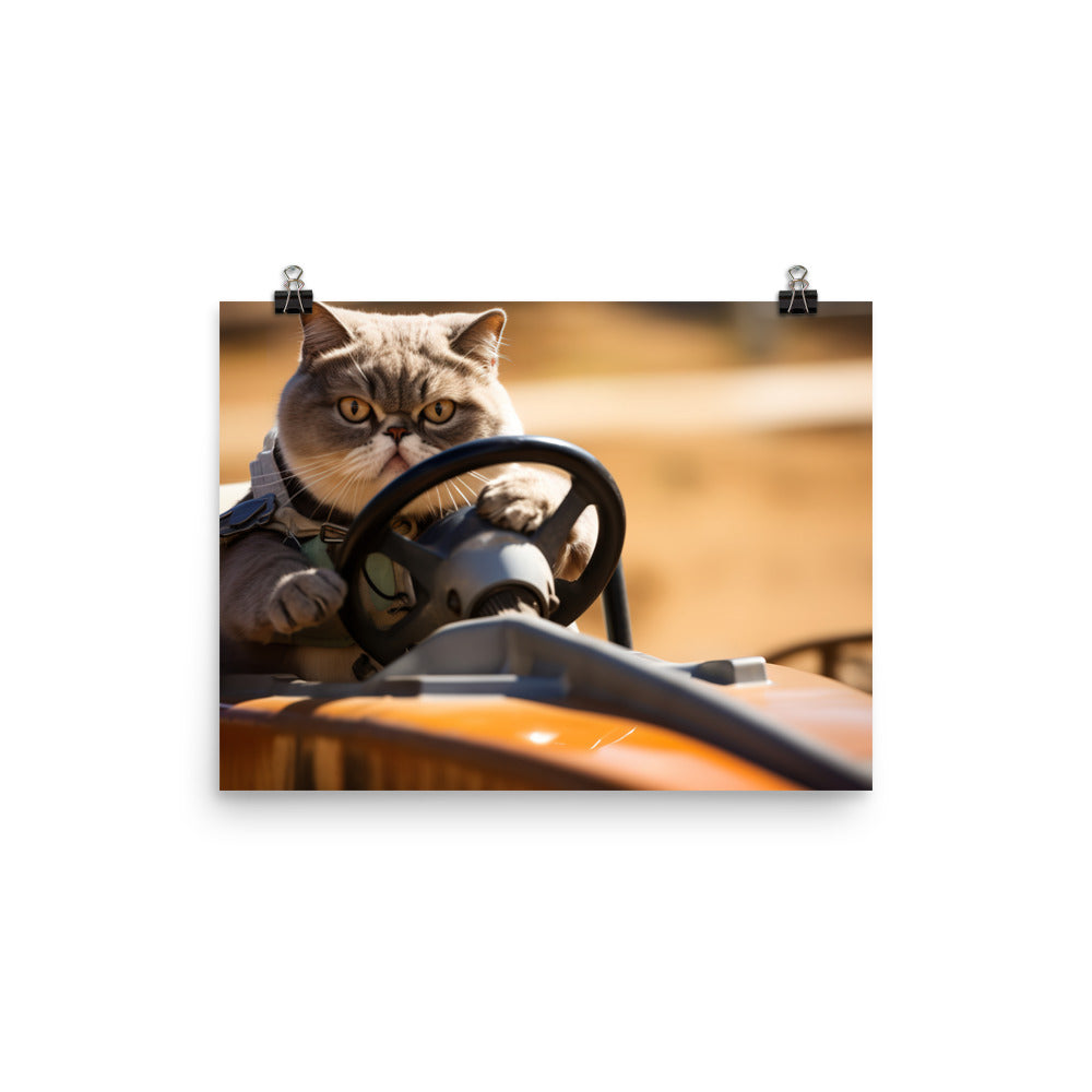 Exotic Shorthair Motorsport Athlete Photo paper poster - PosterfyAI.com