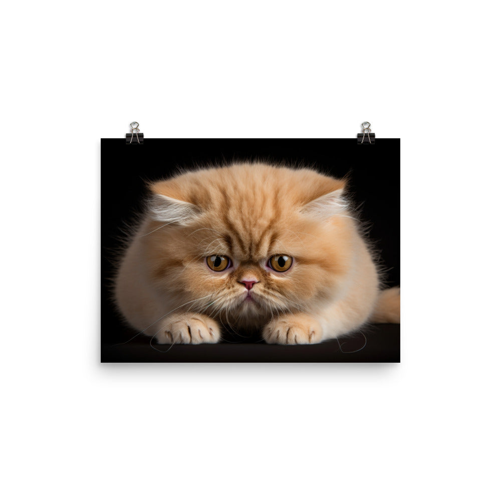 Exotic Shorthair Photo paper poster - PosterfyAI.com