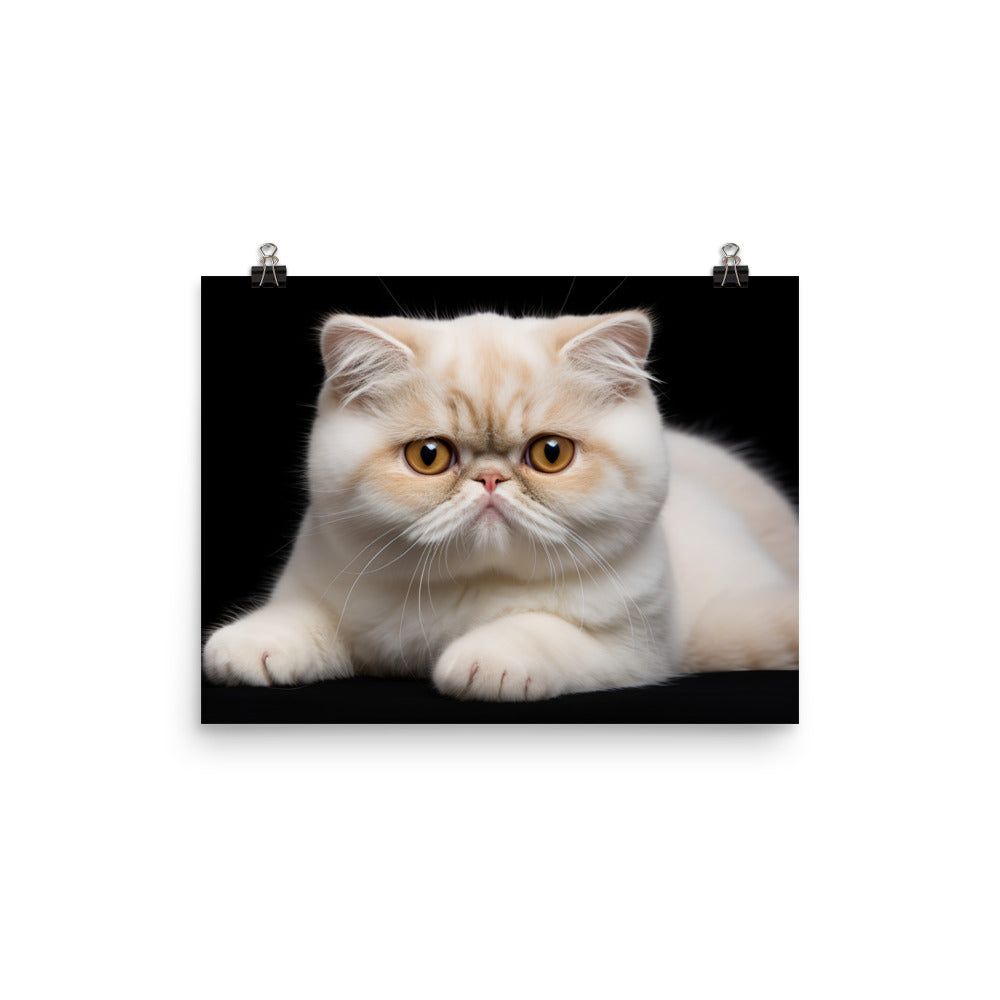 Exotic Shorthair Photo paper poster - PosterfyAI.com