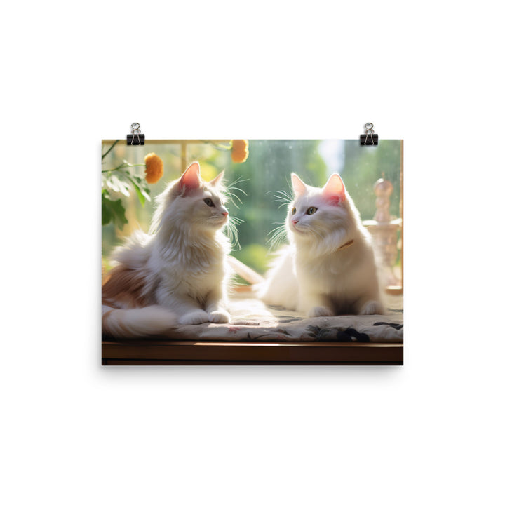 Turkish Van Photo paper poster - PosterfyAI.com