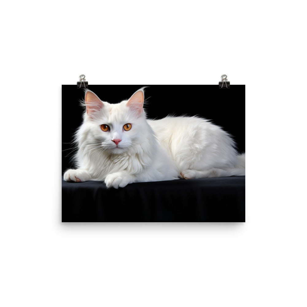 Turkish Van Photo paper poster - PosterfyAI.com