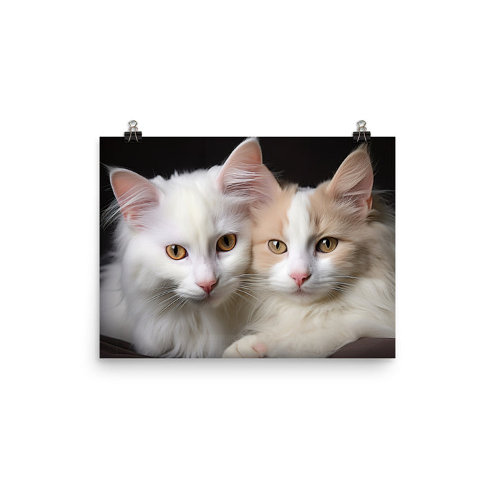 Turkish Van Photo paper poster - PosterfyAI.com