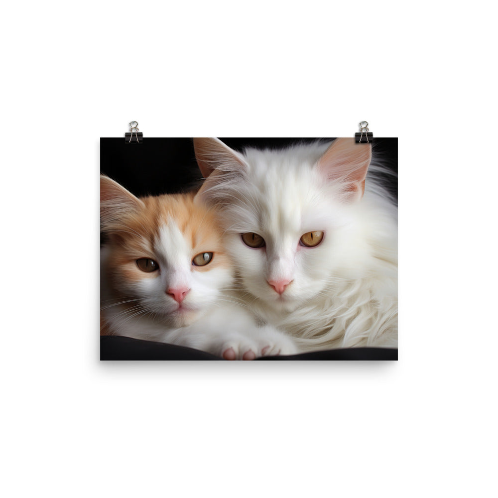 Turkish Van Photo paper poster - PosterfyAI.com