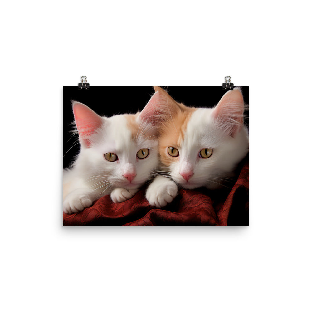 Turkish Van Photo paper poster - PosterfyAI.com