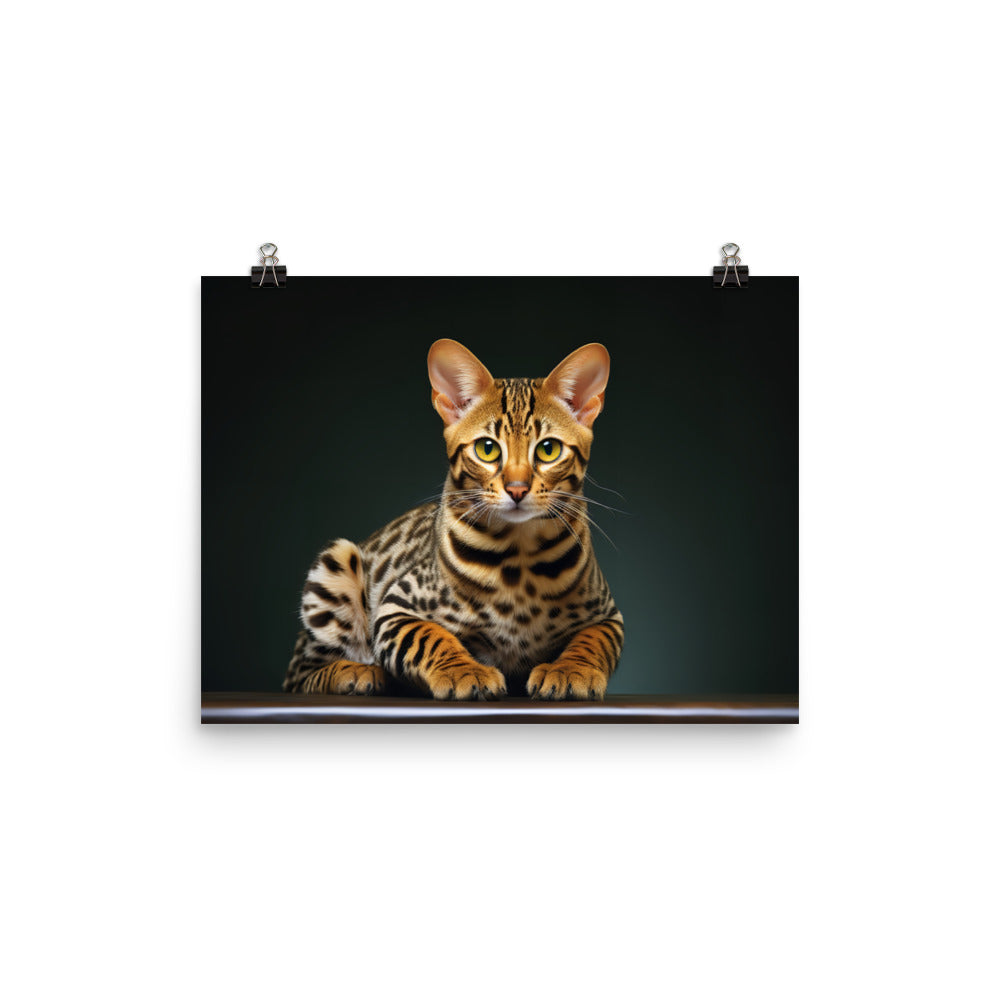 Ocicat Photo paper poster - PosterfyAI.com