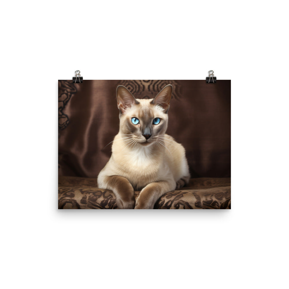 Tonkinese Photo paper poster - PosterfyAI.com