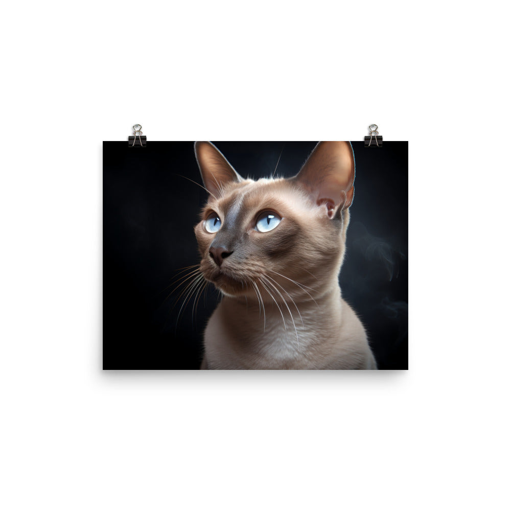 Tonkinese Photo paper poster - PosterfyAI.com