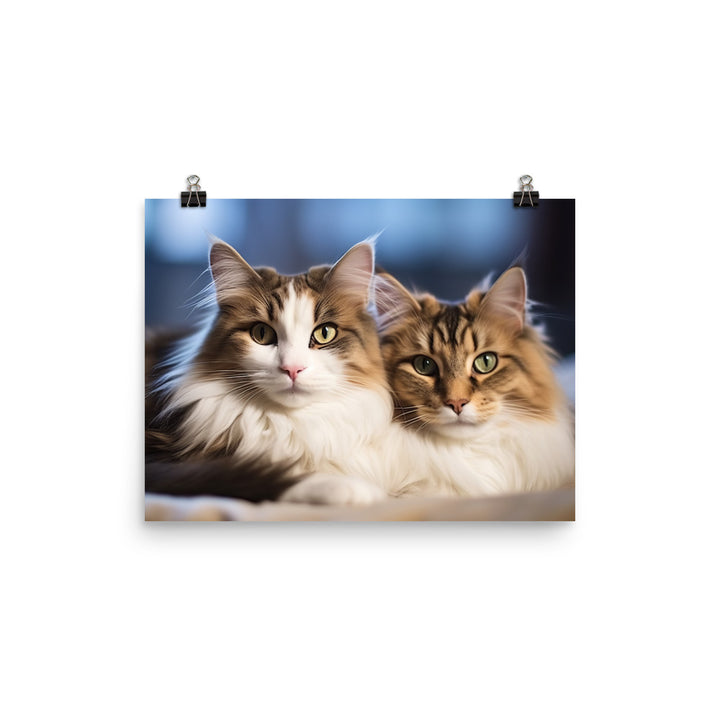 Norwegian Forest Photo paper poster - PosterfyAI.com