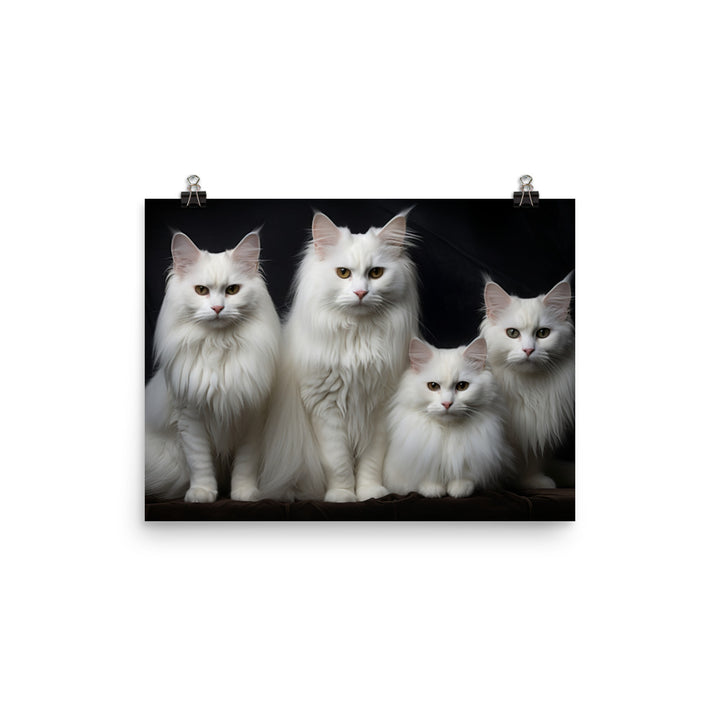 Turkish Angora Photo paper poster - PosterfyAI.com