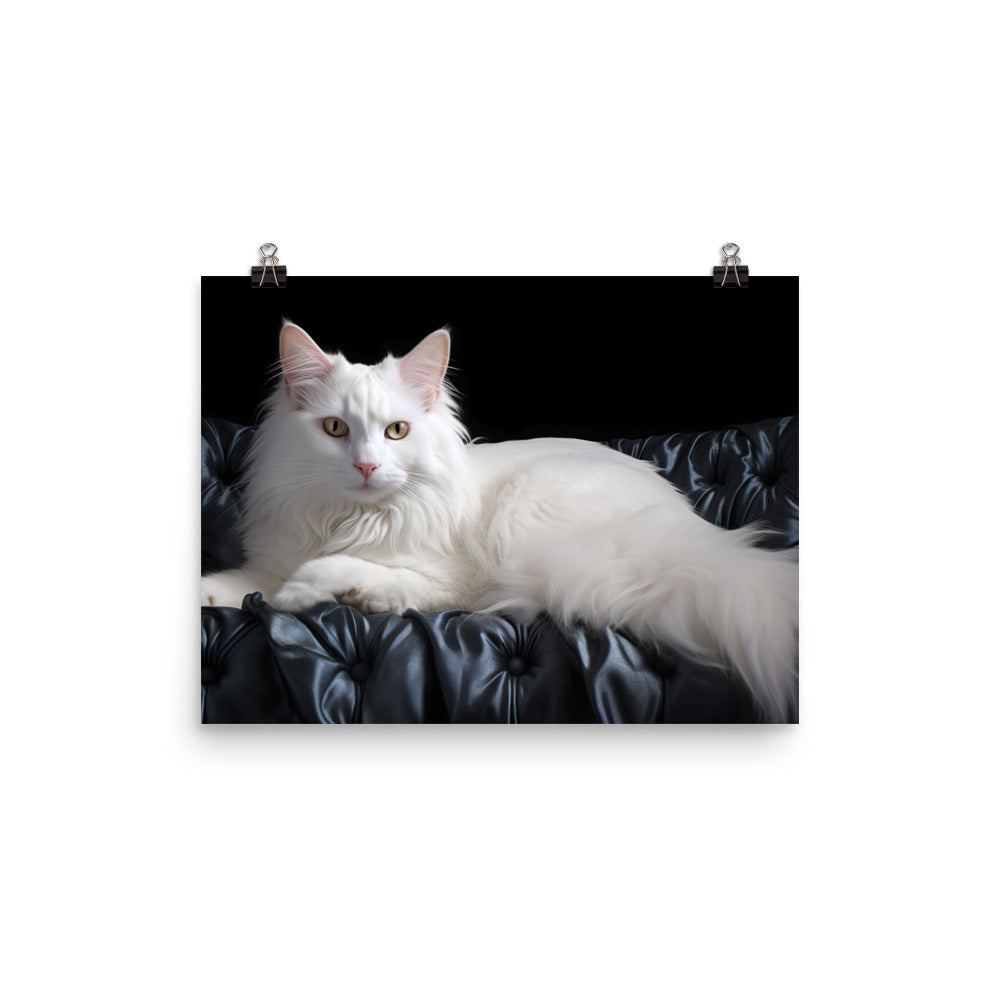 Turkish Angora Photo paper poster - PosterfyAI.com