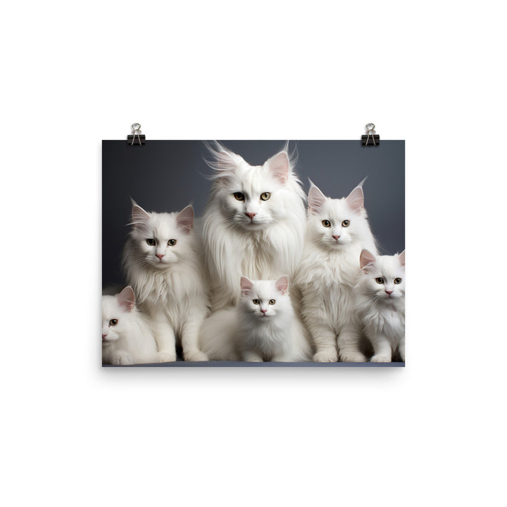 Turkish Angora Photo paper poster - PosterfyAI.com